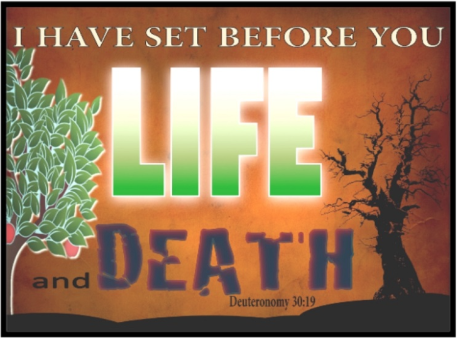 Life or death